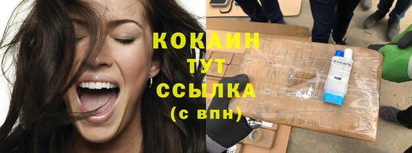 хмурый Нея