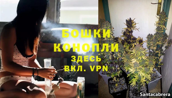ALPHA PVP Нефтекумск