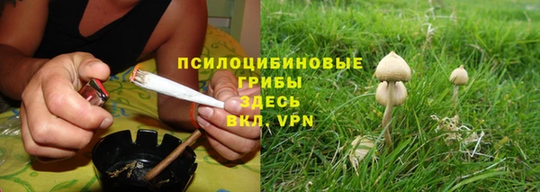 спайс Надым