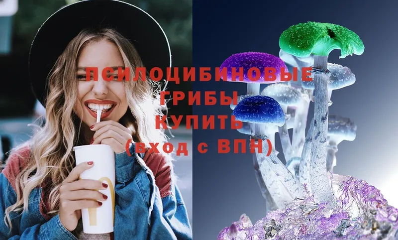 Галлюциногенные грибы Magic Shrooms  Красный Холм 