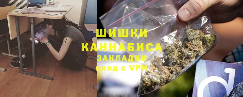 Конопля OG Kush  Красный Холм 